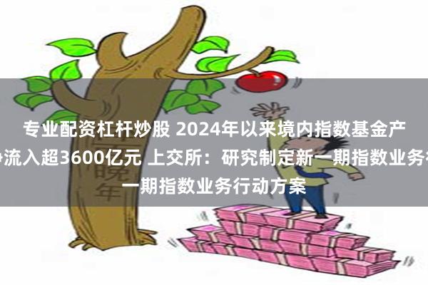 专业配资杠杆炒股 2024年以来境内指数基金产品累计净流入超3600亿元 上交所：研究制定新一期指数业务行动方案