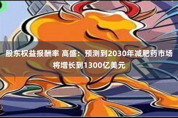 股东权益报酬率 高盛：预测到2030年减肥药市场将增长到1300亿美元