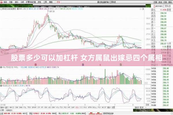 股票多少可以加杠杆 女方属鼠出嫁忌四个属相