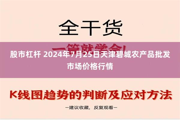 股市杠杆 2024年7月25日天津碧城农产品批发市场价格行情