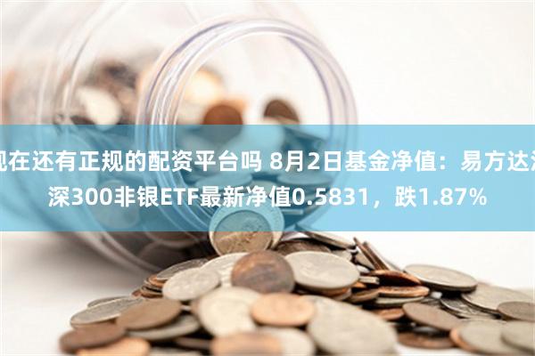 现在还有正规的配资平台吗 8月2日基金净值：易方达沪深300非银ETF最新净值0.5831，跌1.87%