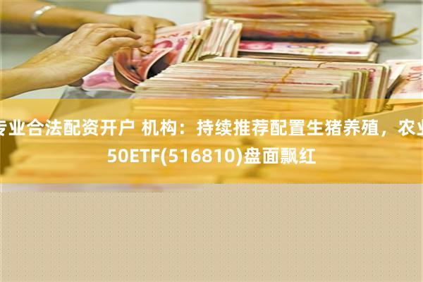 专业合法配资开户 机构：持续推荐配置生猪养殖，农业50ETF(516810)盘面飘红