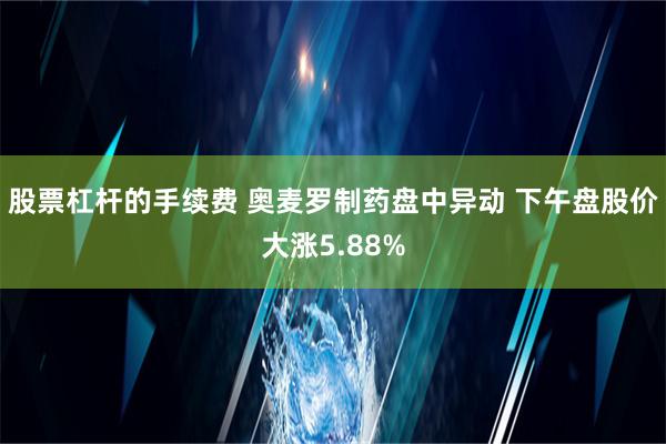 股票杠杆的手续费 奥麦罗制药盘中异动 下午盘股价大涨5.88%