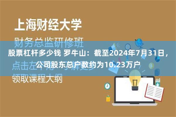 股票杠杆多少钱 罗牛山：截至2024年7月31日，公司股东总户数约为10.23万户