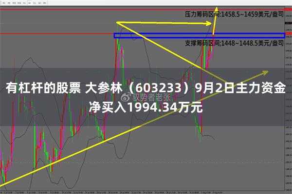 有杠杆的股票 大参林（603233）9月2日主力资金净买入1994.34万元