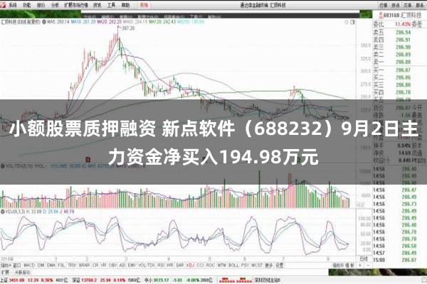 小额股票质押融资 新点软件（688232）9月2日主力资金净买入194.98万元