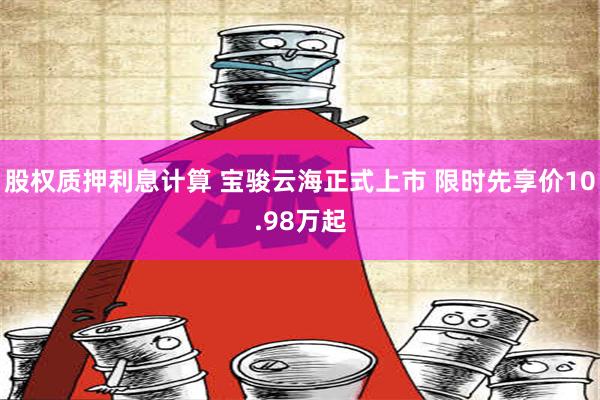 股权质押利息计算 宝骏云海正式上市 限时先享价10.98万起