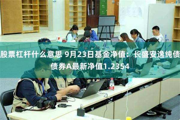 股票杠杆什么意思 9月23日基金净值：长盛安逸纯债债券A最新净值1.2354