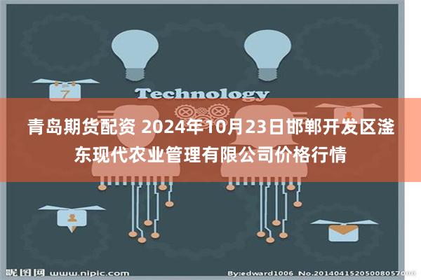 青岛期货配资 2024年10月23日邯郸开发区滏东现代农业管理有限公司价格行情