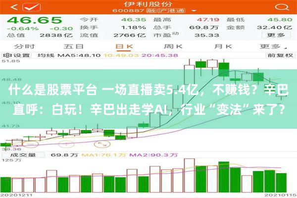 什么是股票平台 一场直播卖5.4亿，不赚钱？辛巴直呼：白玩！辛巴出走学AI，行业“变法”来了？